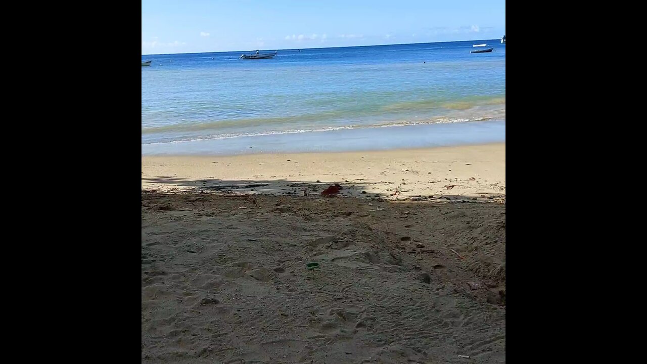 Chilling on the beach in Tobago
