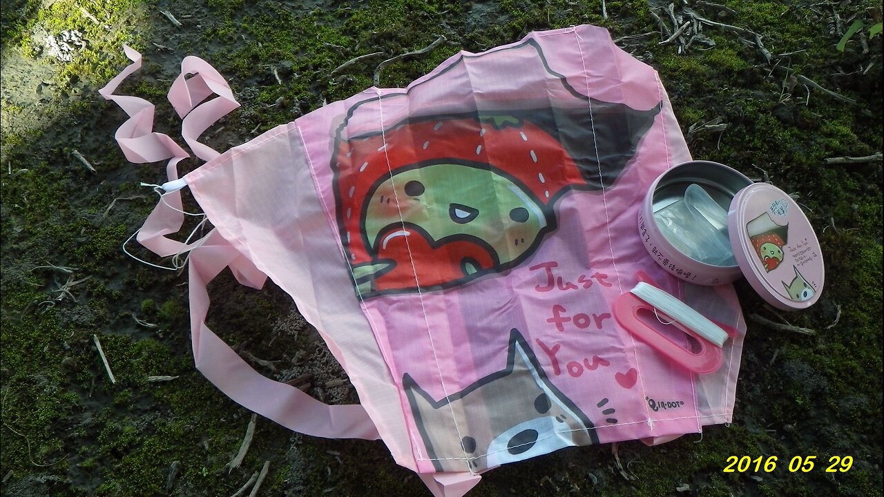 16_0529 風吹 風吹