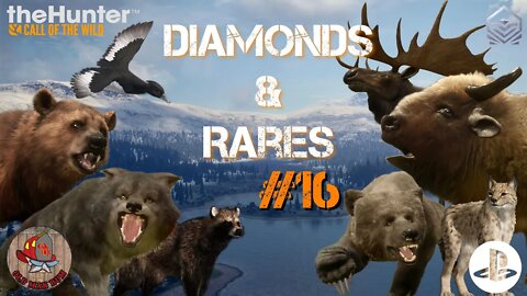 Diamond & Rare montage #16 Console theHunter Call of the Wild