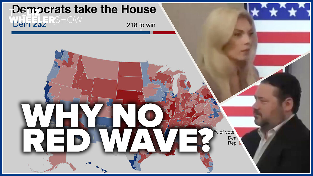 Is THIS what cost the GOP the midterms?