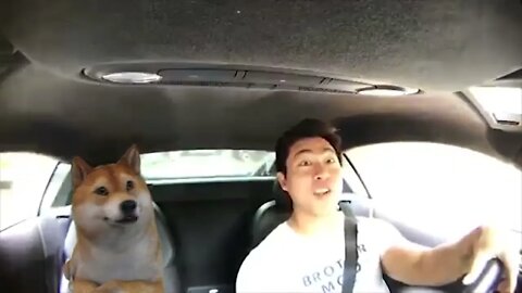 Riding with the DOGE - BUY MORE BITCOIN! - Circa 2017 in a 2015 Audi R8