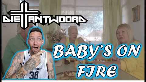 SUCH CRAZY VIDEOS!!! DIE ANTWOORD BABY'S ON FIRE (REACTION)