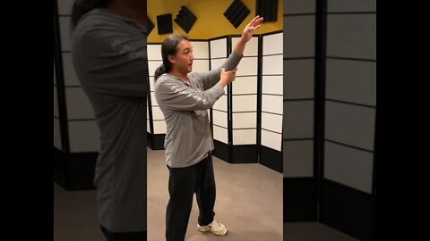 Wing Chun | Dealing With A Hook Punch Part 2 | #shorts