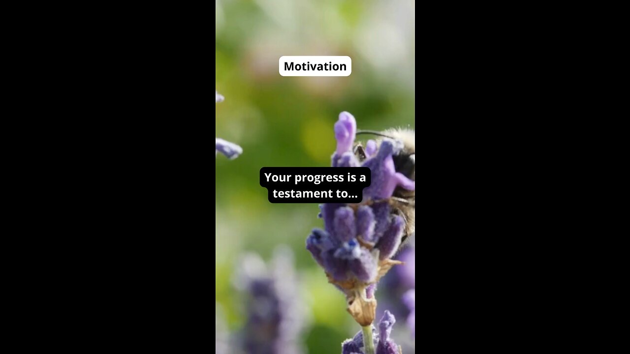 Your progress is a testament to…