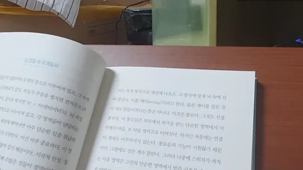 우유보다 뇌과학, 만프레드 슈피처, 뇌피질, 망막, 덥불숲, 배선, 중국, 통로, 발달이정표,3개월,신생아