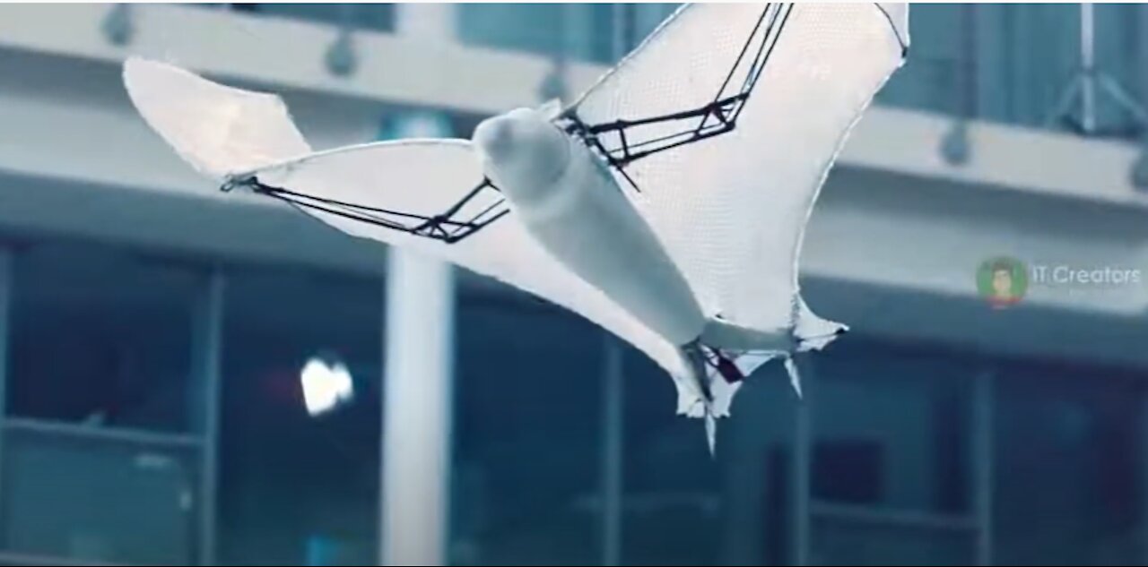 5 NEW ANIMAL ROBOTS