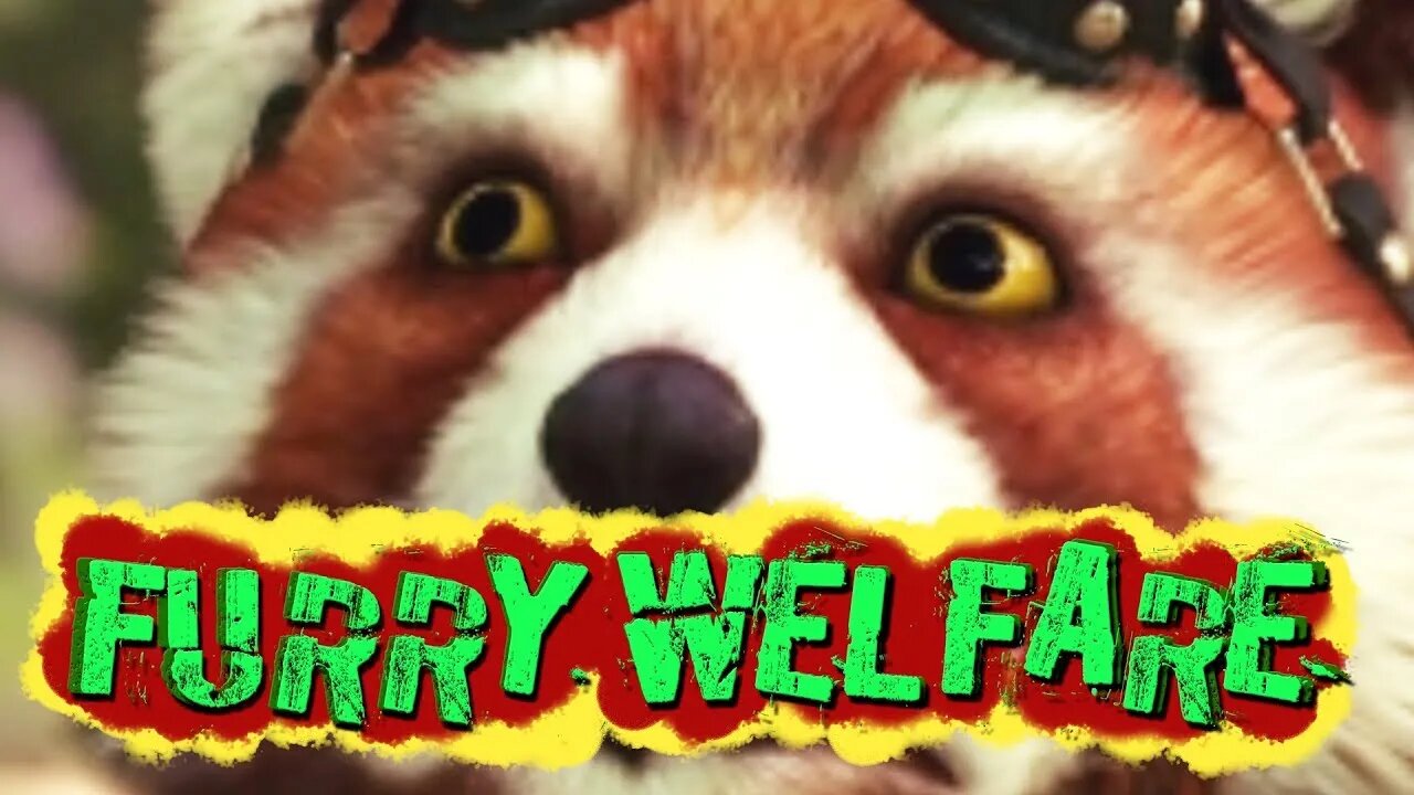 furry welfare