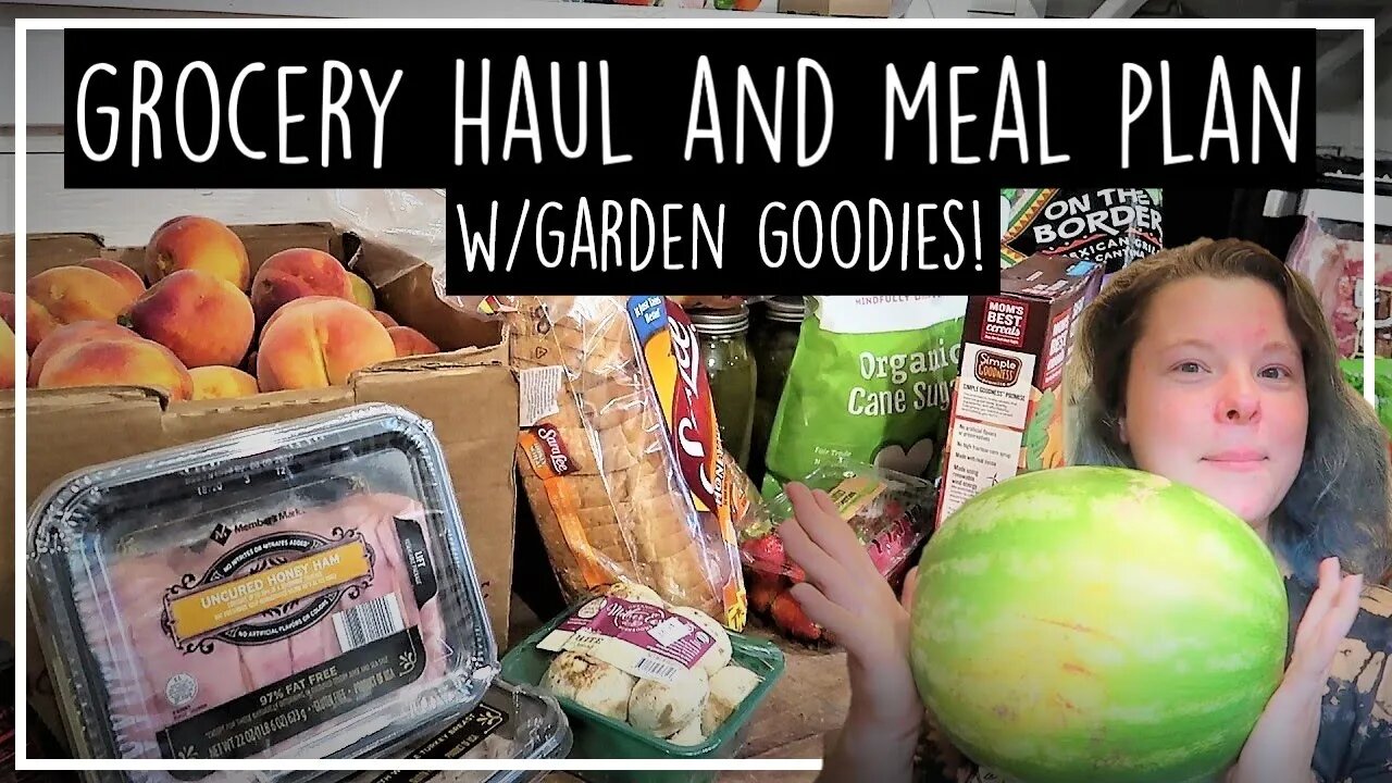 Huge 3 Store Grocery Haul//Family of 4//With Meals for the Week