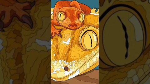 Here are some lizards