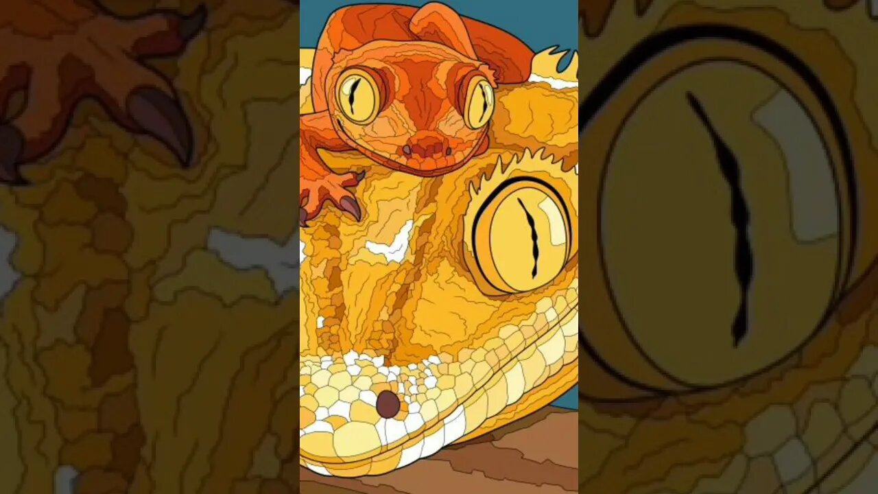 Here are some lizards