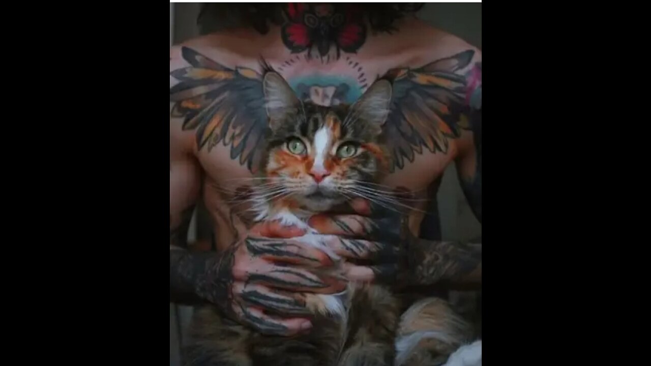 Cat and dogs tatto beautiful video #famoustatto