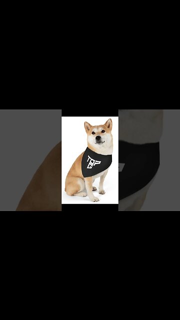 Top G catches Shiba Inu 💀 #andrewtate #topg #shiba #shibainu #funny #dog #petbandana #merch #pet