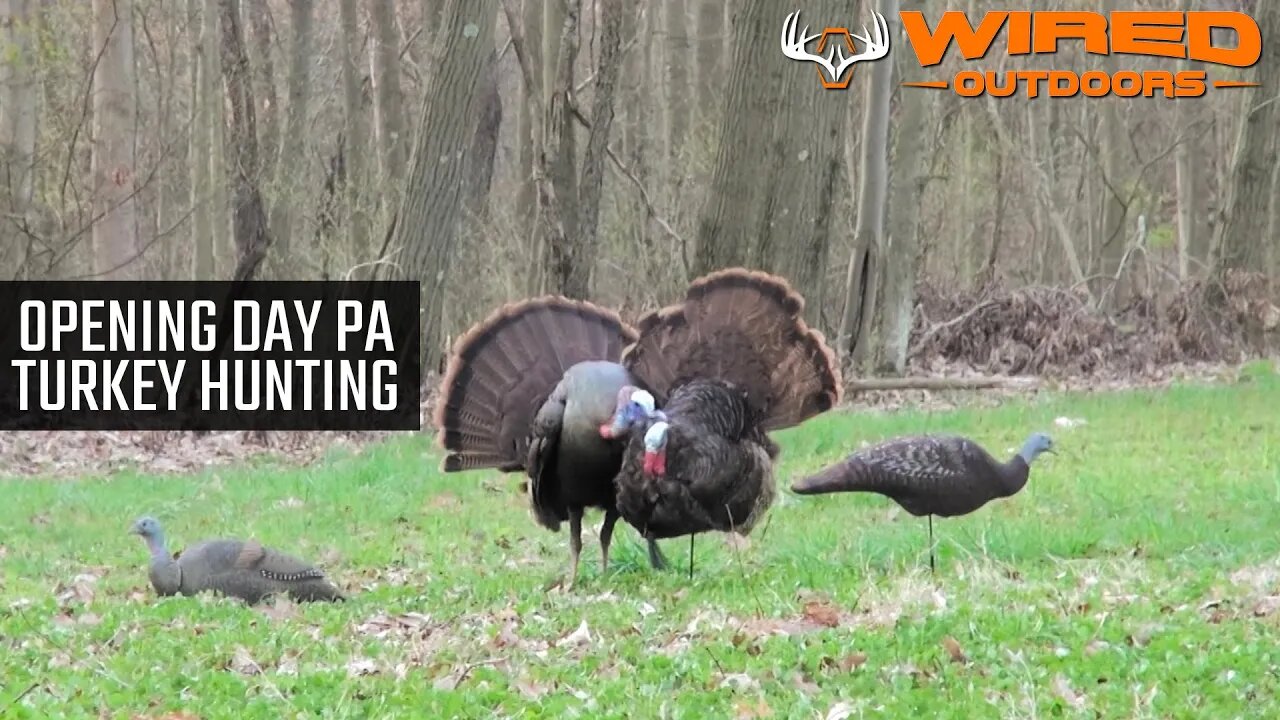 Opening Day PA Turkey Hunting