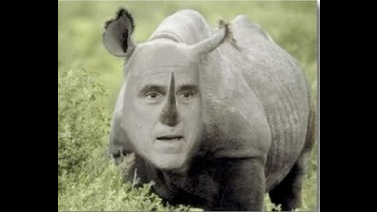 Let's Chat about RINO Romney!