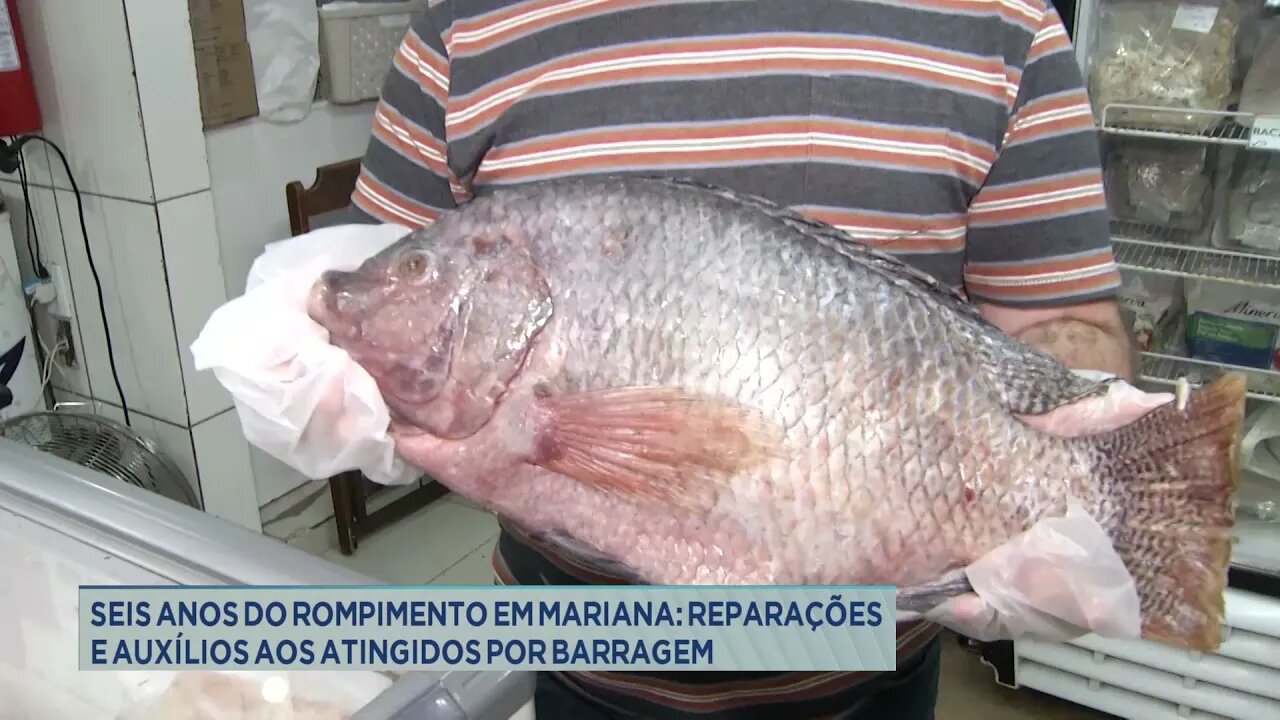 Seis anos do rompimento em Mariana: Reparações e auxílios aos atingidos por barragem