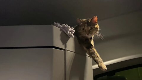 Lazy bones