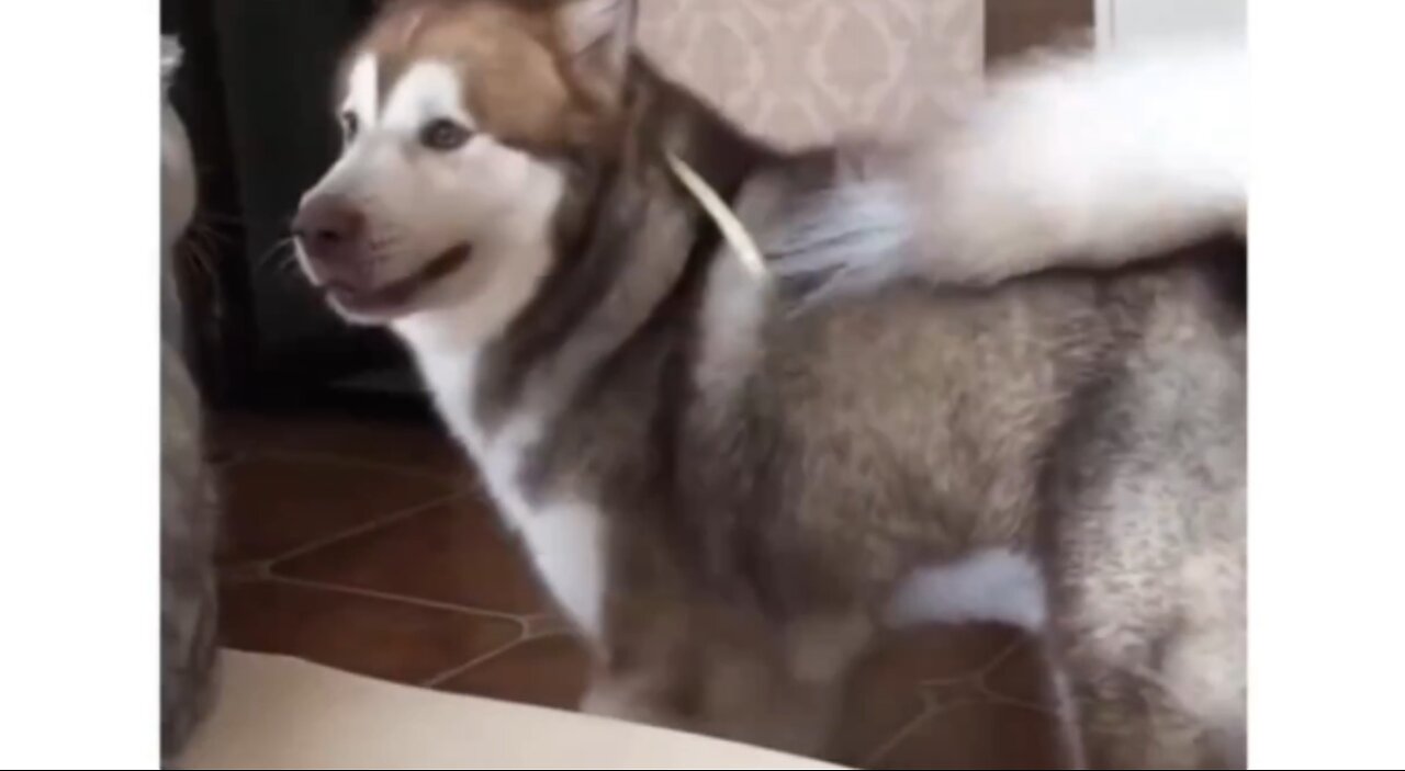 The slap is hilarious 🤣🤣