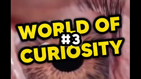 Curiosity World #3