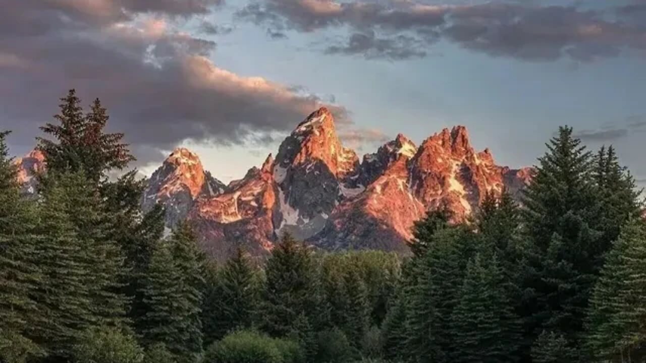 Yardism Live 8/15/22