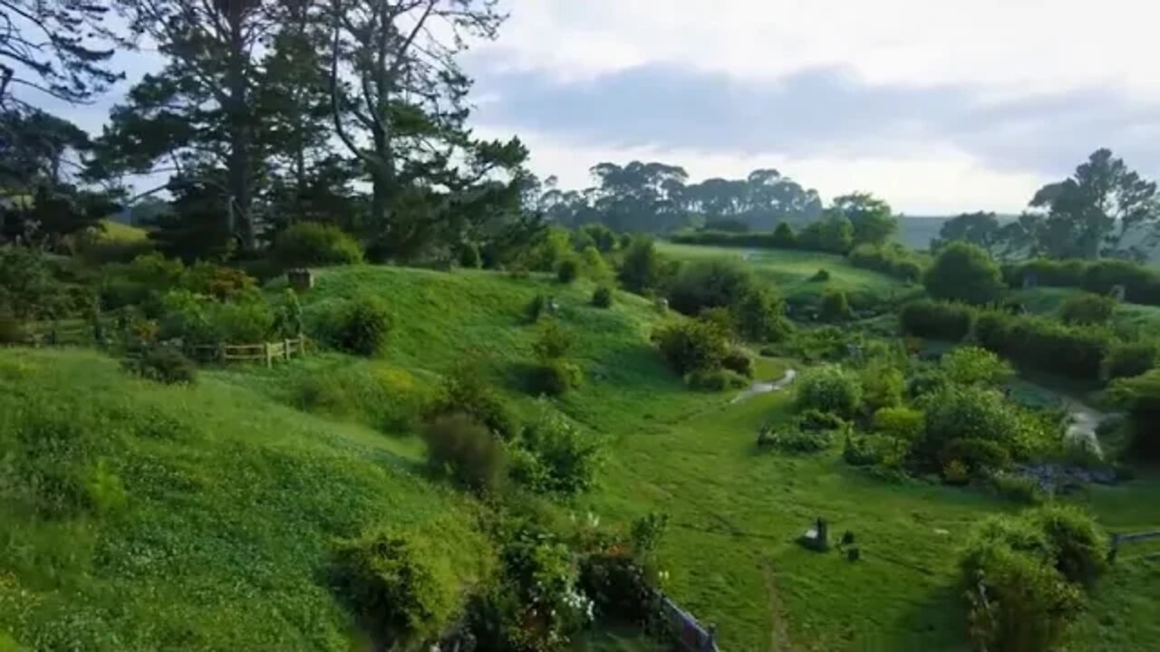 Slow down and feel the beauty of the world 12