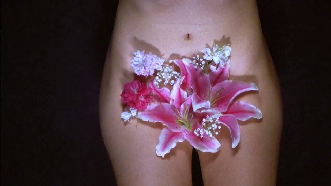 The Shoe - Dead Rabbit Hopes