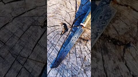 Sakimaru petty knife I forged. Commissions accepted #art #chef #cooking #food #chefknife #foodie