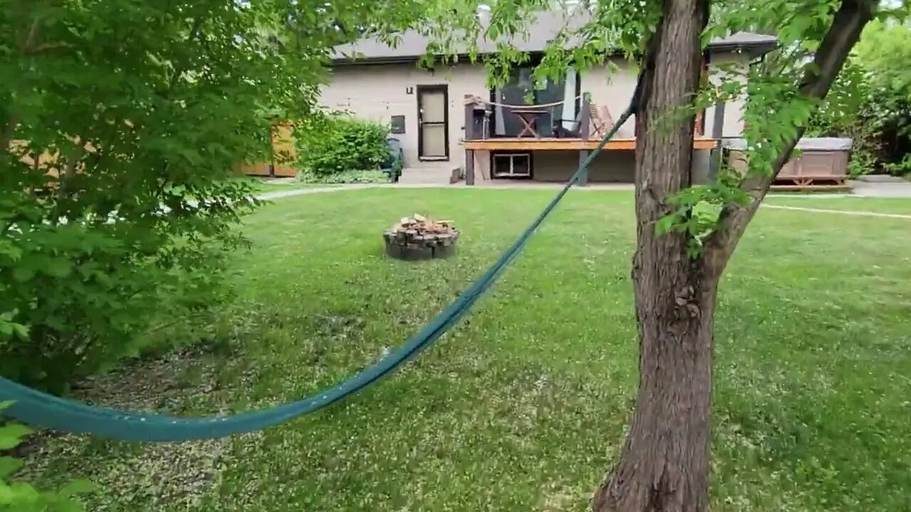 Back Yard June 4 2022