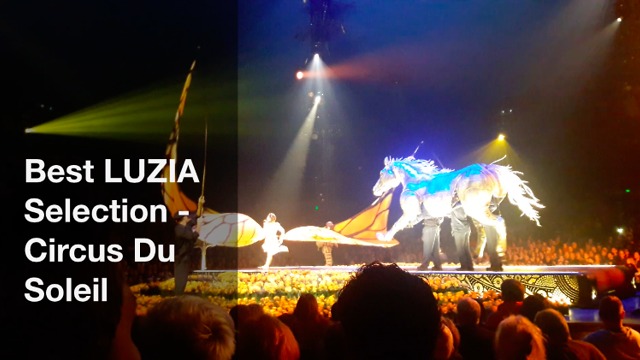 Best LUZIA Selection from Circus De Sole