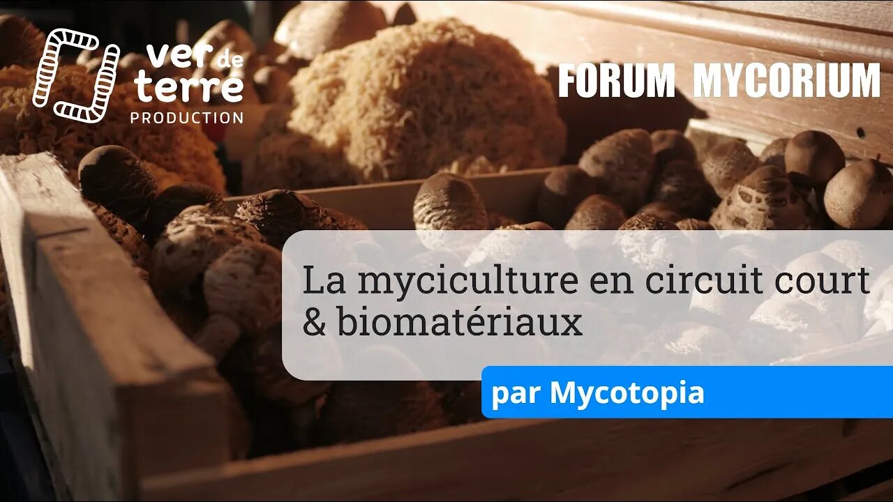 Myciculture en circuit court et biomatériaux, par Mycotopia