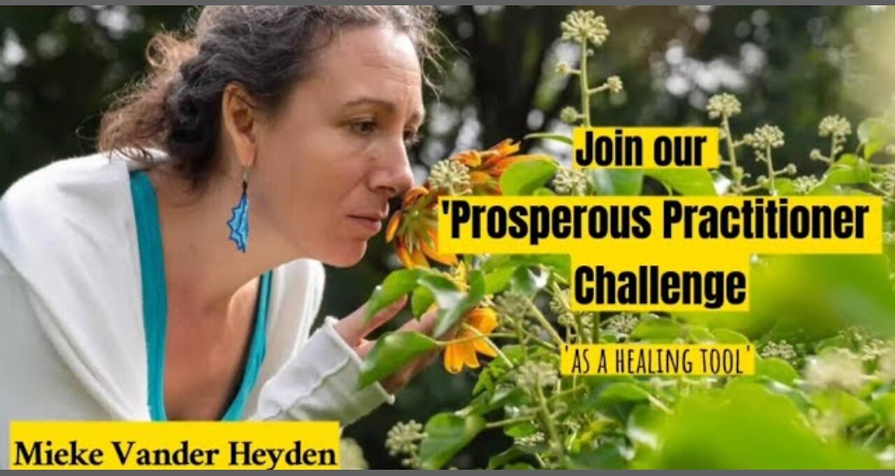 Prosperous Practitioner Challenge