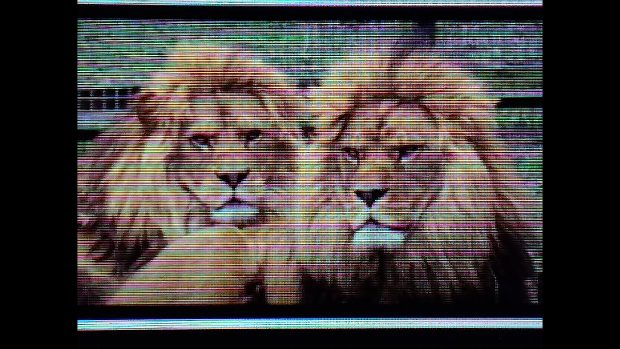 THE SAINTS OF THE MOST HIGH SHALL...- MANATAZACH BANYAMYAN 144