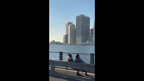 Brooklyn skyline short video