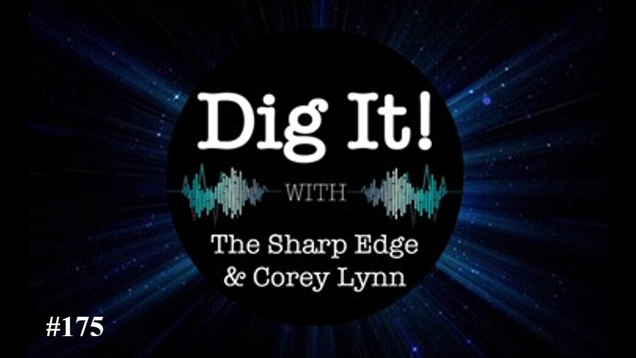 Dig It! #175: With Special Guest Maryam Henein