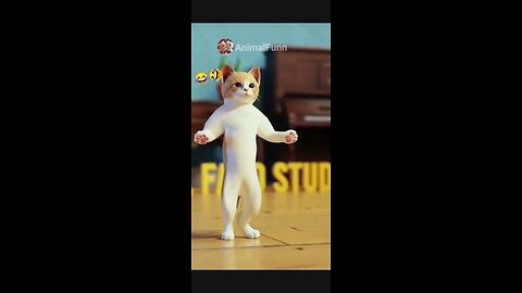 Cat Dancing videos, cat lovely dance video, cat funny video