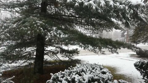 Snowfall Time Lapse