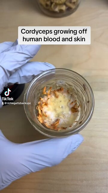 Bro there’s a whole game on why this shouldn’t happen