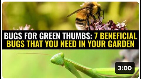 Bugs for green thumbs: 7 Beneficial bugs that you need in your garden