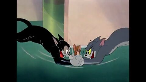 Tom and Jerry: Tom and Butch Cat Trying To Catch Jerry