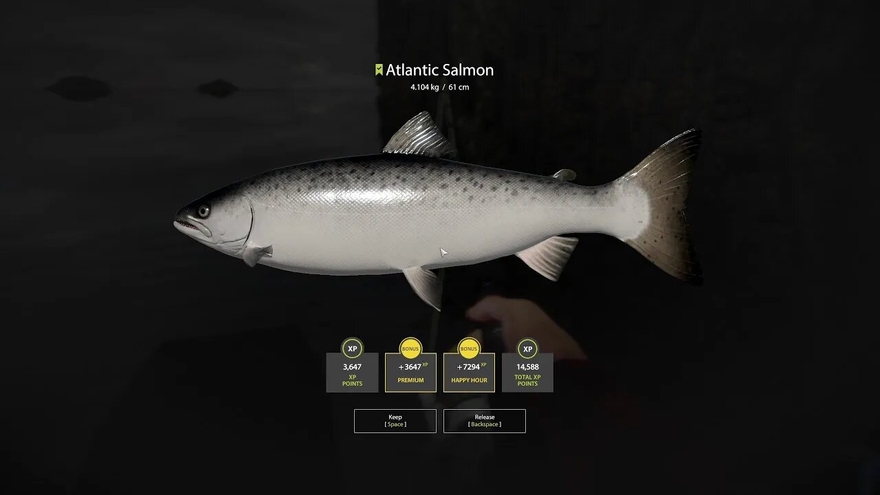 Russian Fishing 4 Ladoga Lake Atlantic Salmon 4 . 104 Kg