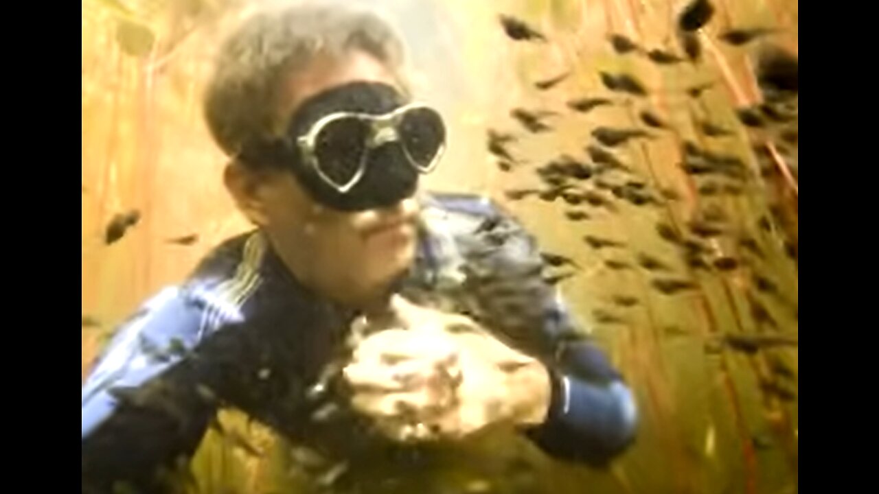 Diver Discovers Tadpole Paradise