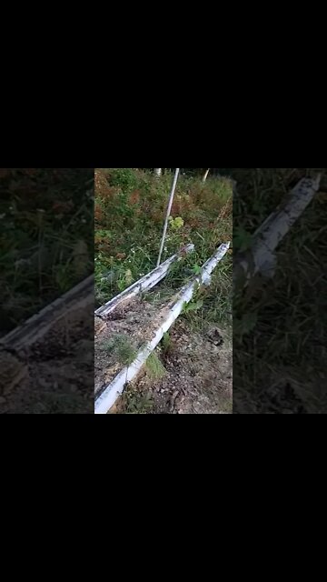 Surveying The Surroundings