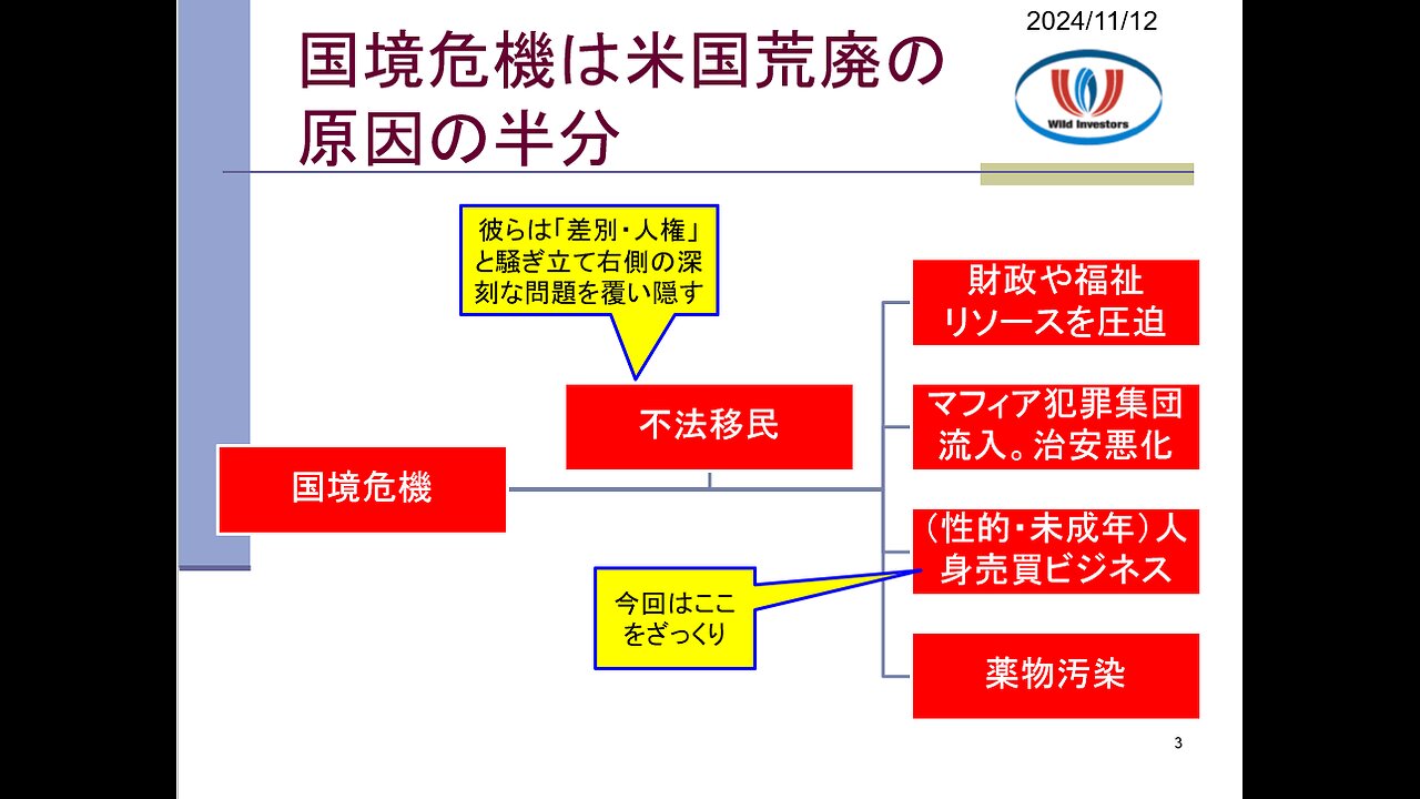 投資戦略動画（公開用）20241112 最優先課題は国境危機。治安悪化だけでなく人身売買・薬物汚染に繋がる米国荒廃の根源。ディディ事件。（未成年）性犯罪と反トランプの関係を疑う。