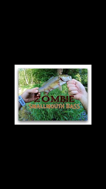 I FELL in the river!!!! ... and caught a ZOMBIE fish (short version)