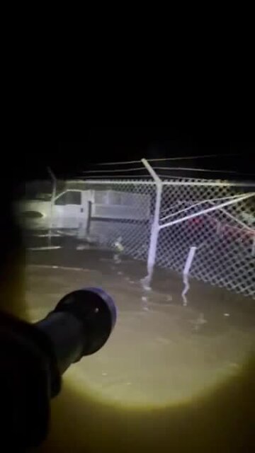 Group of people searching the area to help with rescue