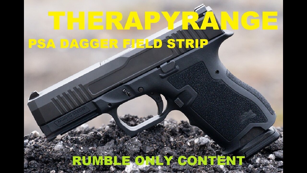 PSA DAGGER Field Strip Take Down Therapy Range #Rumbleonlycontent