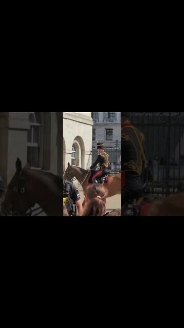 Kings troop return horses #horseguardsparade
