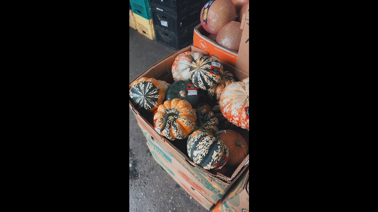 Halloween is here
