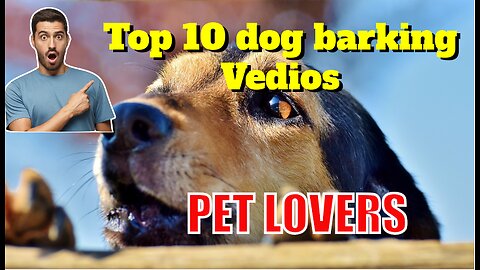 TOP 10 DOG BARKING VEDIOS | PETS LOVER