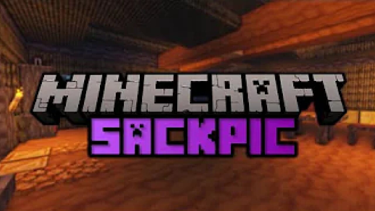 Minecraft Sackpic