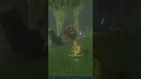 Hinox Battle - Tears Of The Kingdom #totk #zelda #games #zeldatearsofthekingdom #zeldabotw #botw